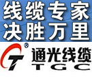 中國弛名商標6江蘇通光電子