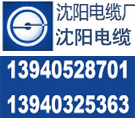 中國弛名商標8沈陽電纜